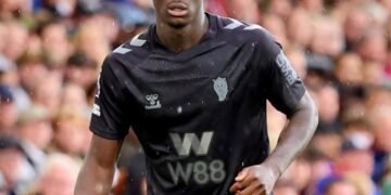 Regis Le Bris : « Habib Diarra rejoindra le Sénégal aprés Brighton»